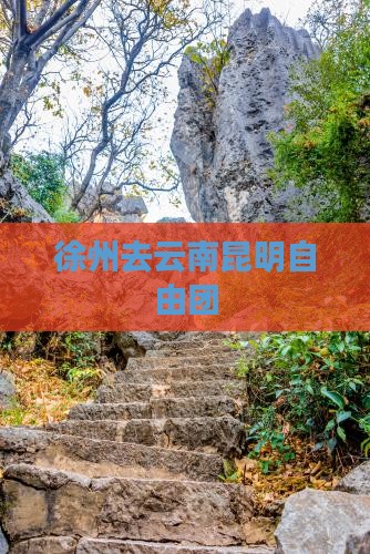 徐州去云南昆明自由团