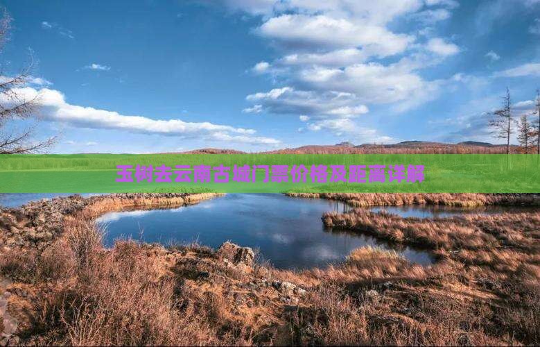 玉树去云南古城门票价格及距离详解