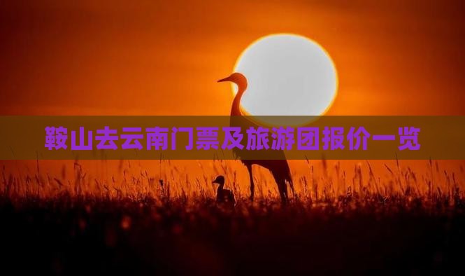 鞍山去云南门票及旅游团报价一览