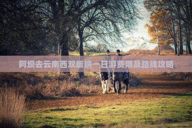 阿坝去云南西双版纳一日游费用及路线攻略
