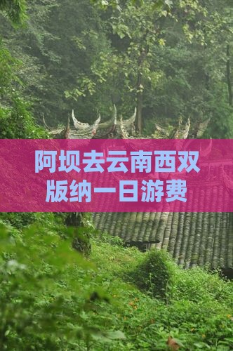 阿坝去云南西双版纳一日游费用及路线攻略