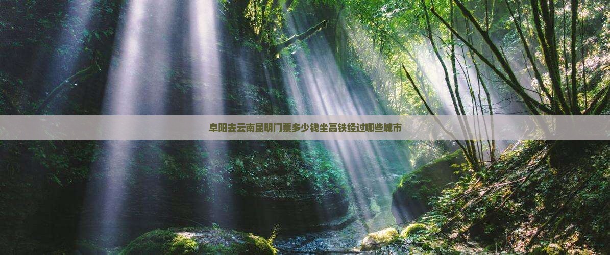 阜阳去云南昆明门票多少钱坐高铁经过哪些城市