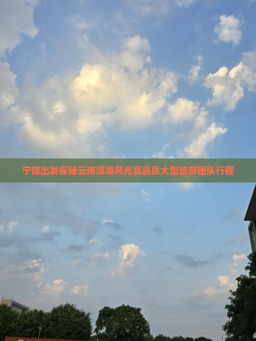 宁德出发探秘云南洱海风光高品质大型旅游团队行程