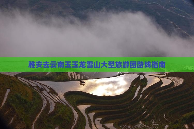 雅安去云南玉玉龙雪山大型旅游团路线指南