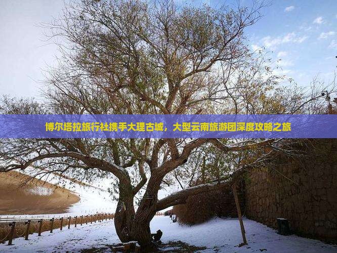 博尔塔拉旅行社携手大理古城，大型云南旅游团深度攻略之旅