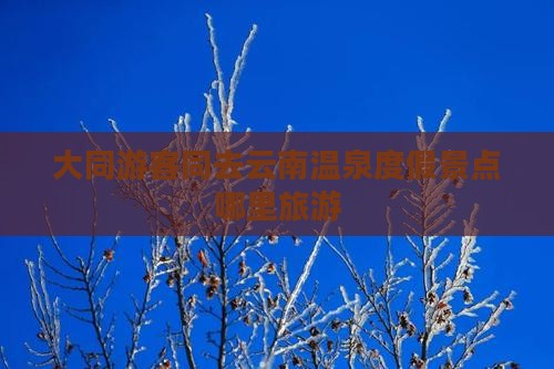 大同游客同去云南温泉度假景点哪里旅游