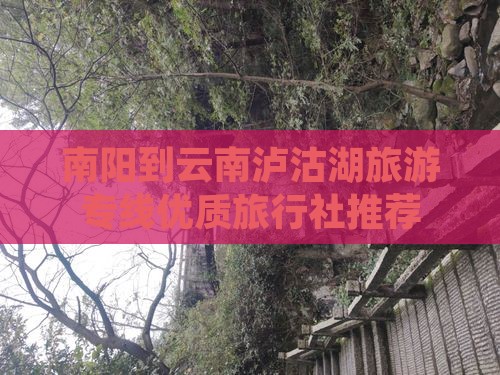 南阳到云南泸沽湖旅游专线优质旅行社推荐