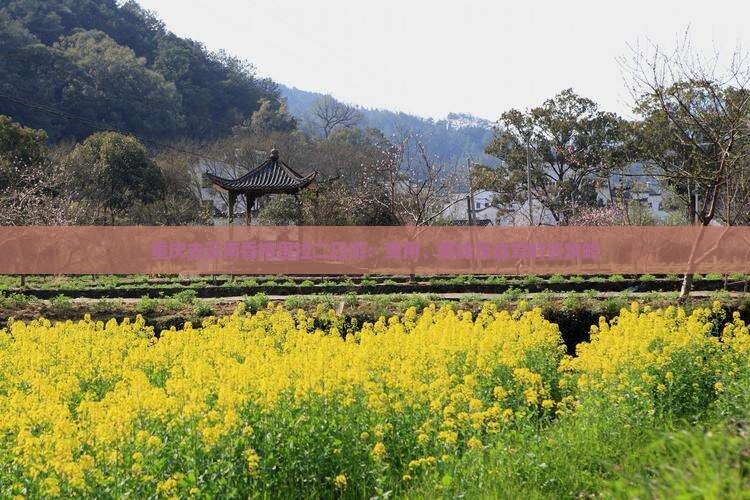 重庆去云南香格里拉二日游：费用、路线及自驾时长攻略