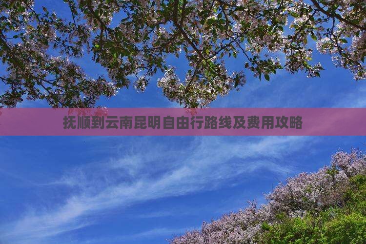 抚顺到云南昆明自由行路线及费用攻略