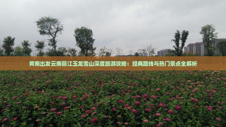 黄南出发云南丽江玉龙雪山深度旅游攻略：经典路线与热门景点全解析
