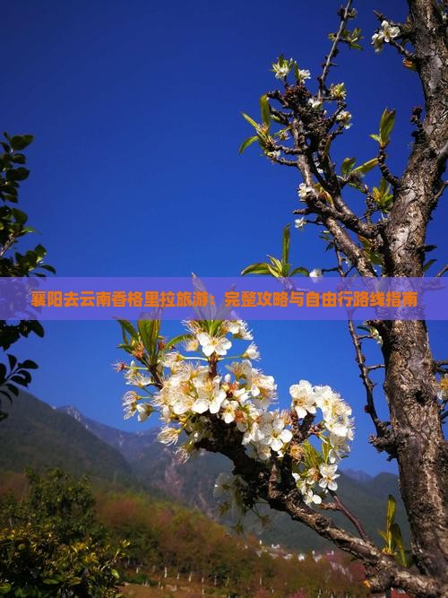襄阳去云南香格里拉旅游：完整攻略与自由行路线指南