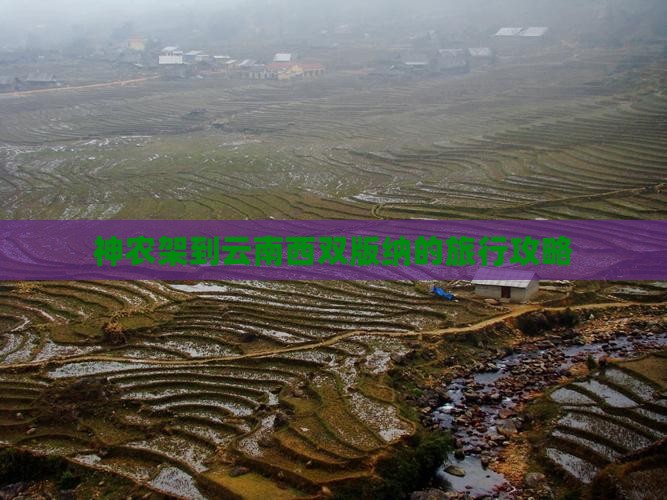 神农架到云南西双版纳的旅行攻略