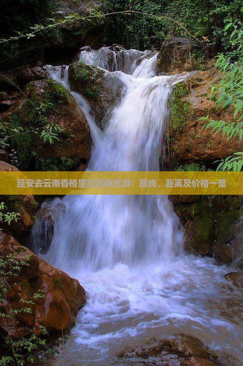 延安去云南香格里拉团体旅游：路线、距离及价格一览