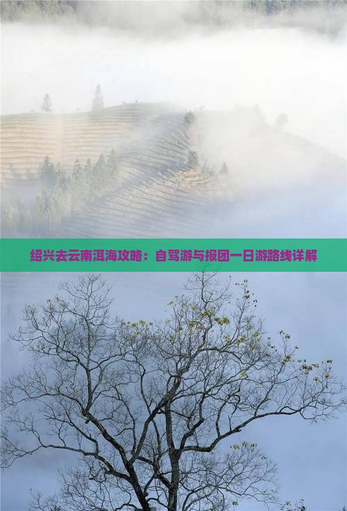 绍兴去云南洱海攻略：自驾游与报团一日游路线详解
