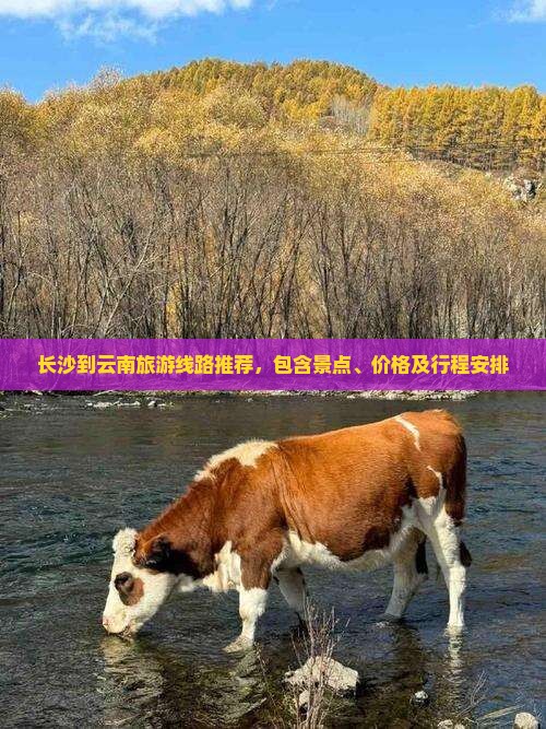 长沙到云南旅游线路推荐，包含景点、价格及行程安排