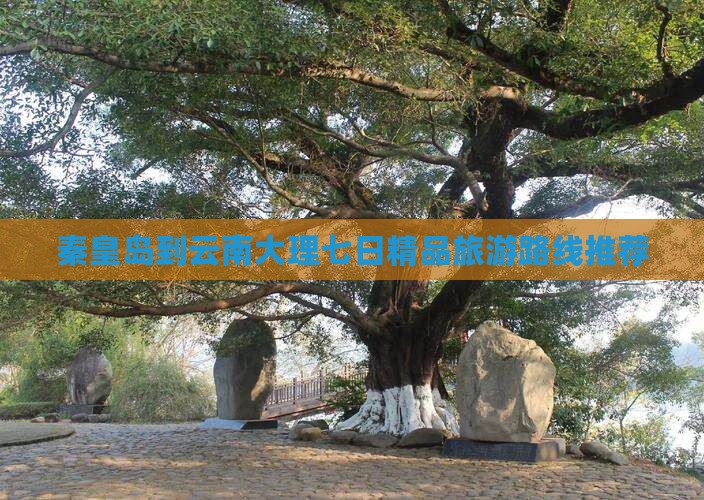 秦皇岛到云南大理七日精品旅游路线推荐