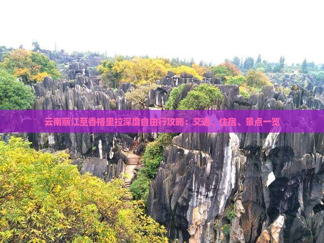 云南丽江至香格里拉深度自由行攻略：交通、住宿、景点一览