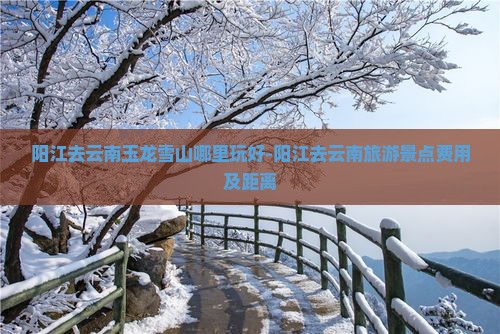 阳江去云南玉龙雪山哪里玩好-阳江去云南旅游景点费用及距离