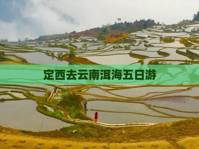 定西去云南洱海五日游