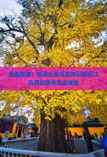 全面指南：芜湖出发深度游云南丽江及周边精华景点攻略