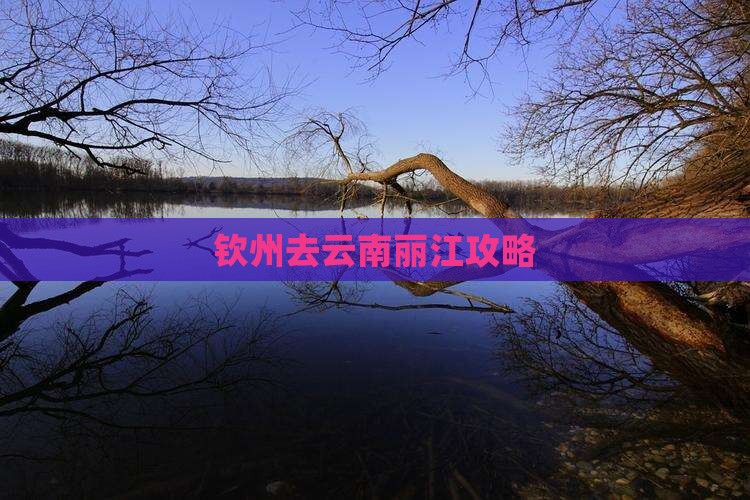 钦州去云南丽江攻略