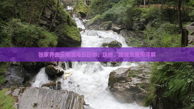张家界去云南洱海五日游：攻略、路线及费用详解