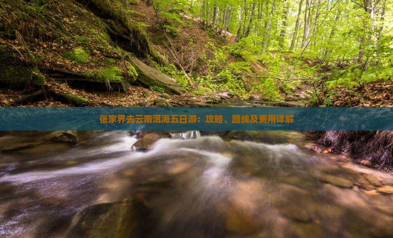 张家界去云南洱海五日游：攻略、路线及费用详解