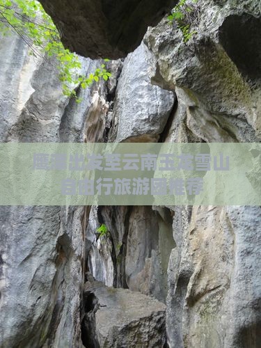 鹰潭出发至云南玉龙雪山自由行旅游团推荐