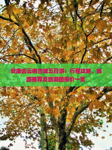 安康去云南古城五日游：行程攻略、线路推荐及旅游团报价一览