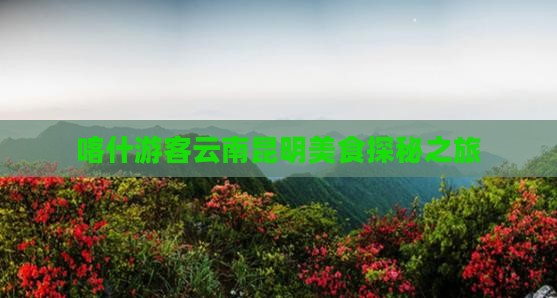 喀什游客云南昆明美食探秘之旅