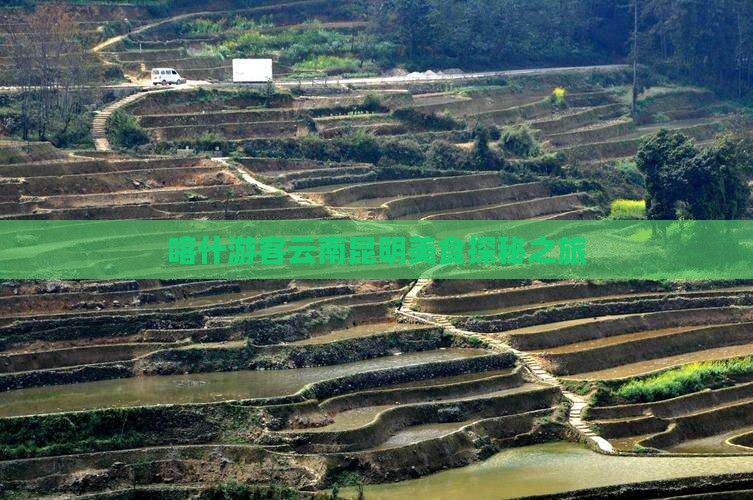 喀什游客云南昆明美食探秘之旅