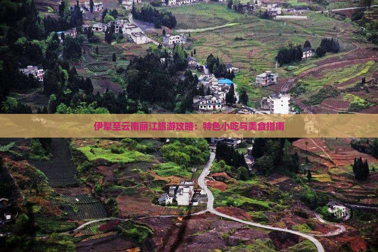 伊犁至云南丽江旅游攻略：特色小吃与美食指南