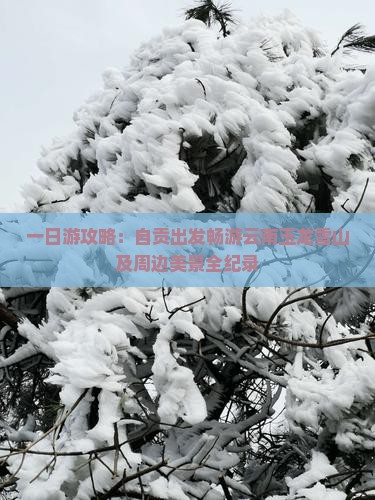 一日游攻略：自贡出发畅游云南玉龙雪山及周边美景全纪录