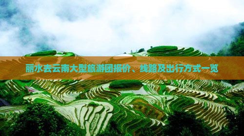 丽水去云南大型旅游团报价、线路及出行方式一览