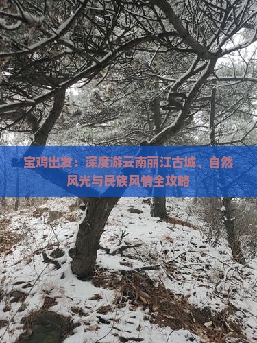 宝鸡出发：深度游云南丽江古城、自然风光与民族风情全攻略