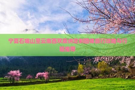 宁夏石嘴山至云南西双版纳定制团体旅行攻略与行程推荐