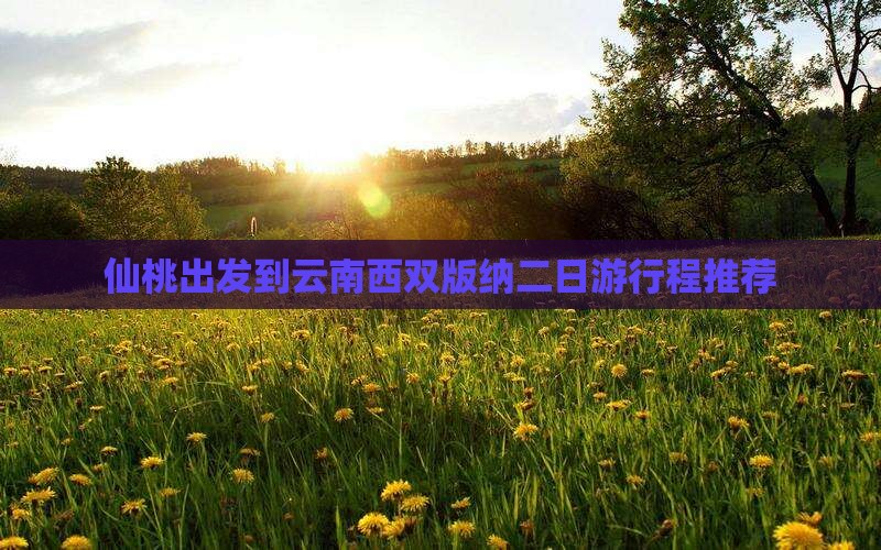 仙桃出发到云南西双版纳二日游行程推荐
