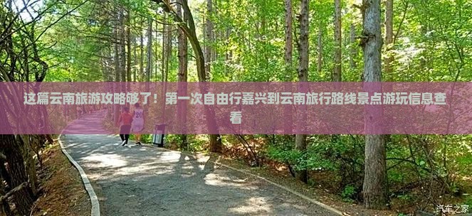 这篇云南旅游攻略够了！第一次自由行嘉兴到云南旅行路线景点游玩信息查看