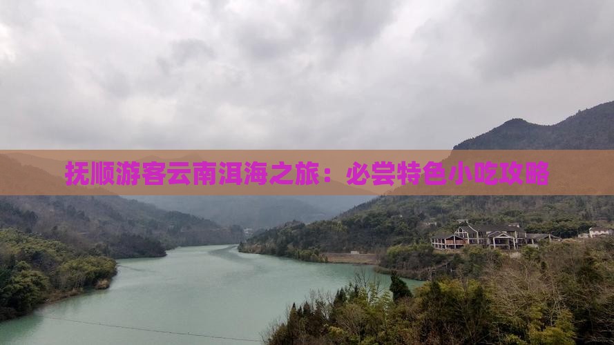 抚顺游客云南洱海之旅：必尝特色小吃攻略