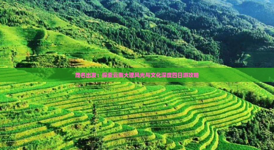 茂名出发：探索云南大理风光与文化深度四日游攻略