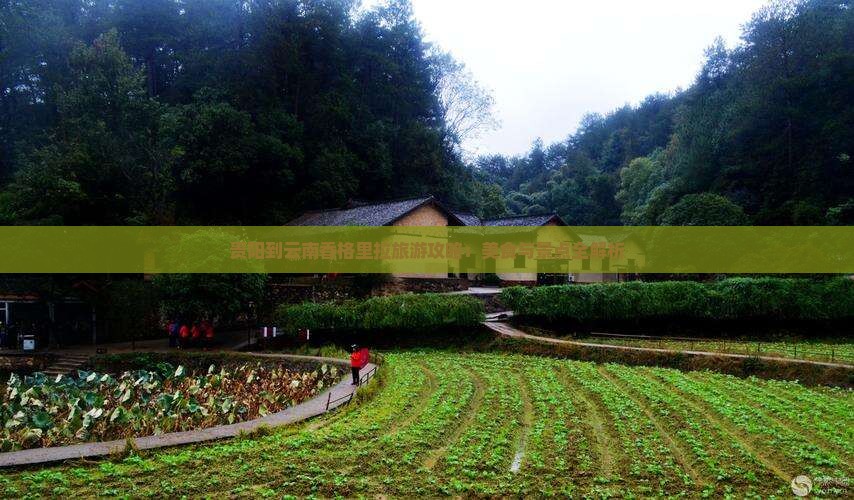 贵阳到云南香格里拉旅游攻略：美食与景点全解析