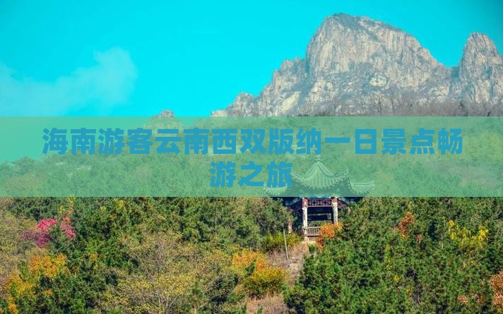 海南游客云南西双版纳一日景点畅游之旅