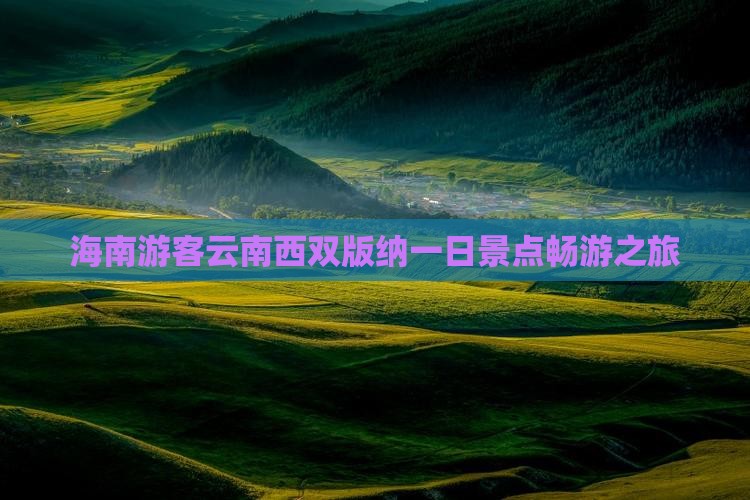 海南游客云南西双版纳一日景点畅游之旅