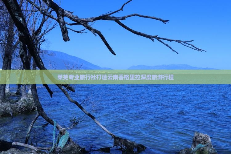 莱芜专业旅行社打造云南香格里拉深度旅游行程