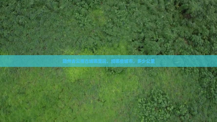 随州去云南古城哪里玩，经哪些城市，多少公里