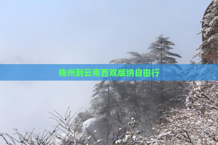 梅州到云南西双版纳自由行