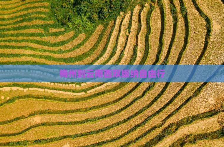 梅州到云南西双版纳自由行