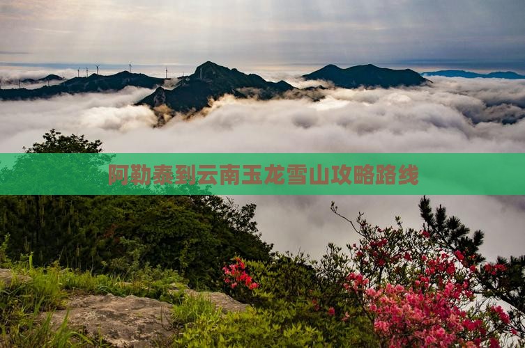 阿勒泰到云南玉龙雪山攻略路线