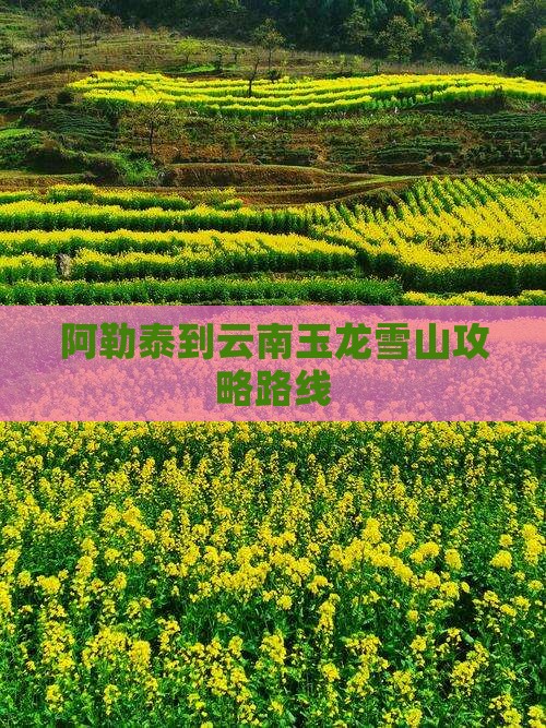 阿勒泰到云南玉龙雪山攻略路线