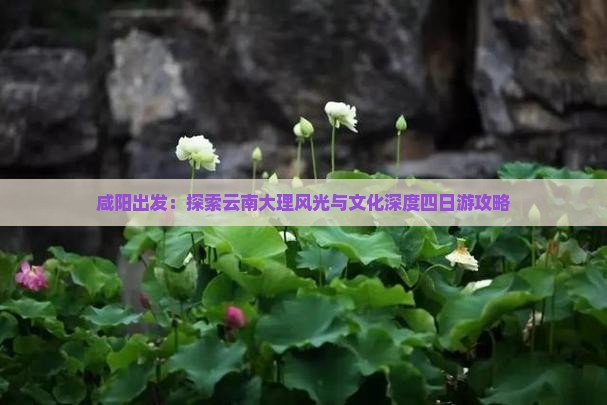 咸阳出发：探索云南大理风光与文化深度四日游攻略